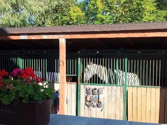Farm Stay Nh Stables Nyrany Bagian luar foto