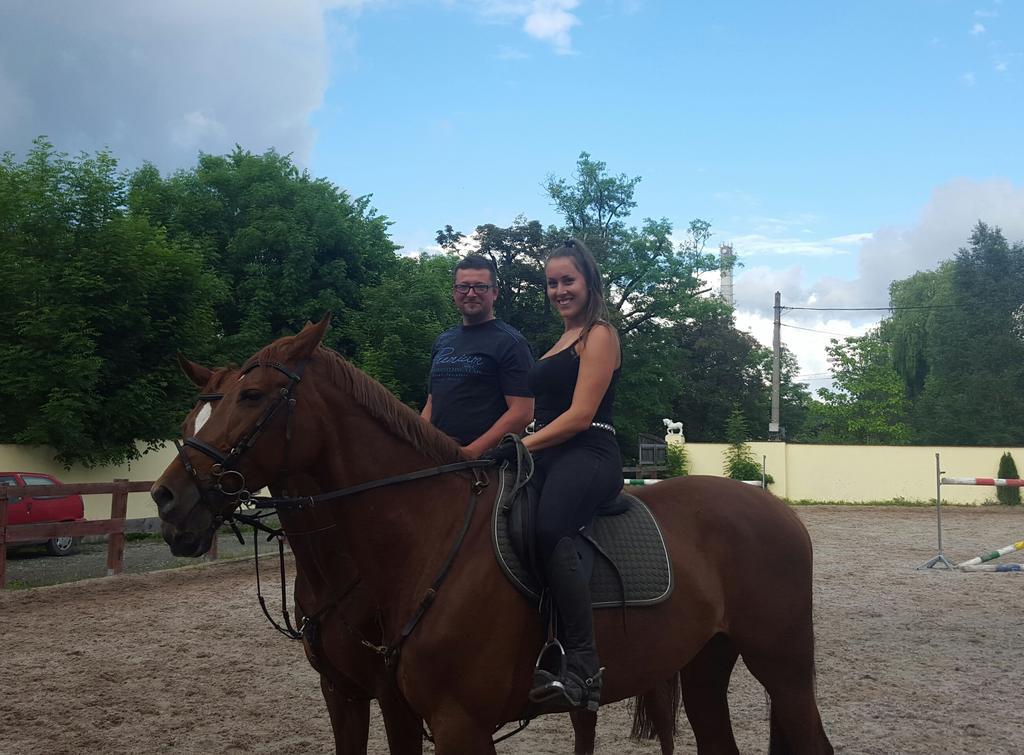 Farm Stay Nh Stables Nyrany Bagian luar foto